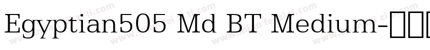 Egyptian505 Md BT Medium字体转换